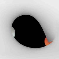 niin & näin 1/17: Kansalaistaito & meditaation filosofia